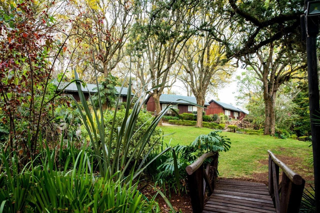 Naro Moru River Lodge المظهر الخارجي الصورة