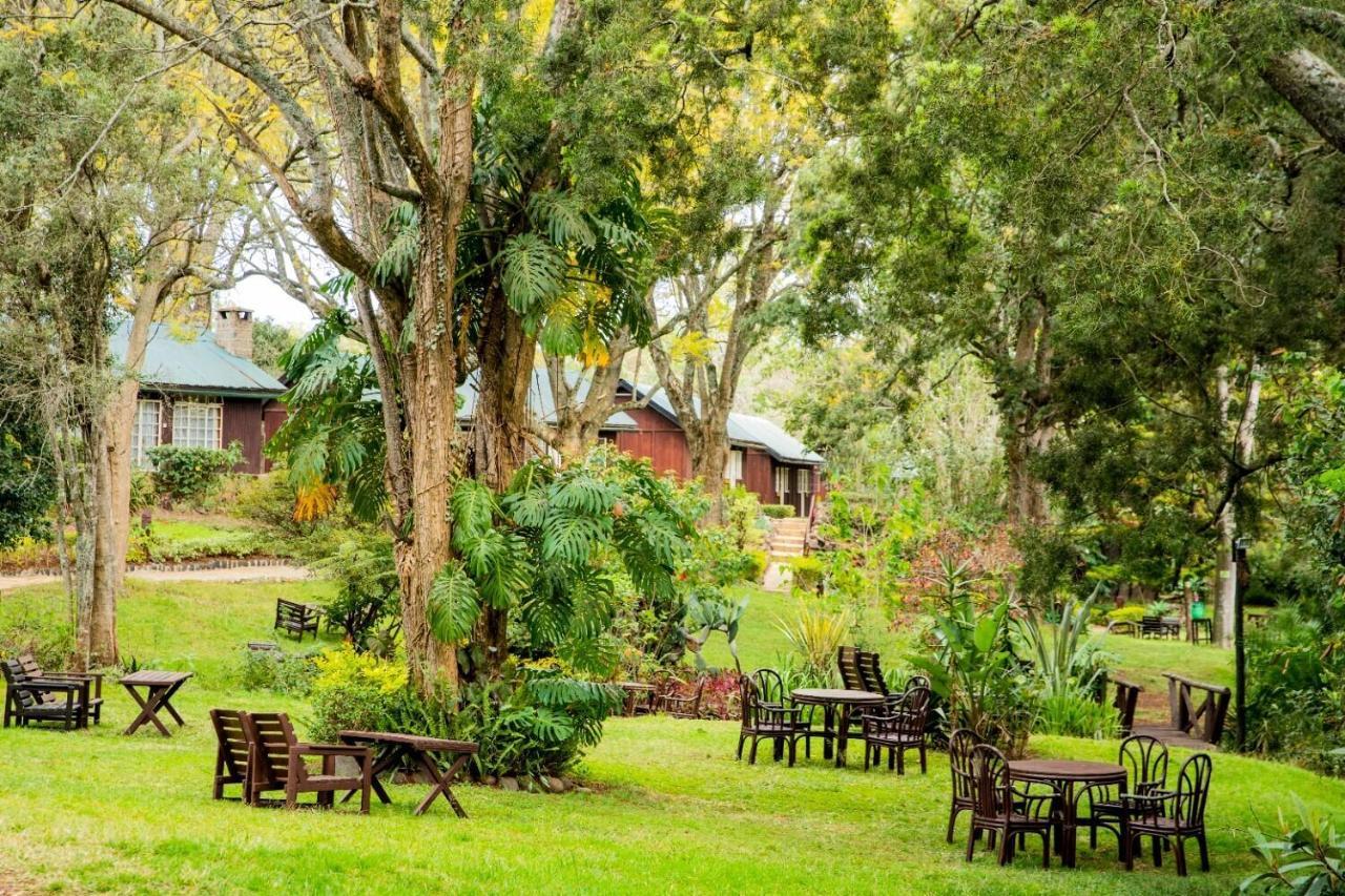 Naro Moru River Lodge المظهر الخارجي الصورة