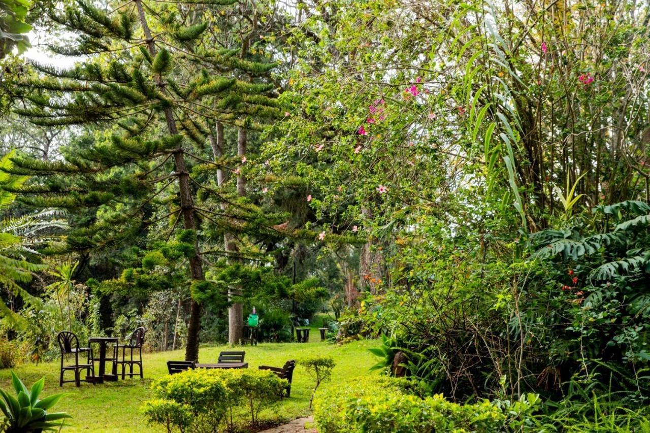 Naro Moru River Lodge المظهر الخارجي الصورة
