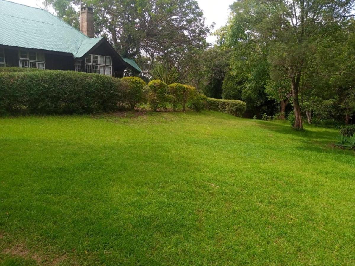 Naro Moru River Lodge المظهر الخارجي الصورة