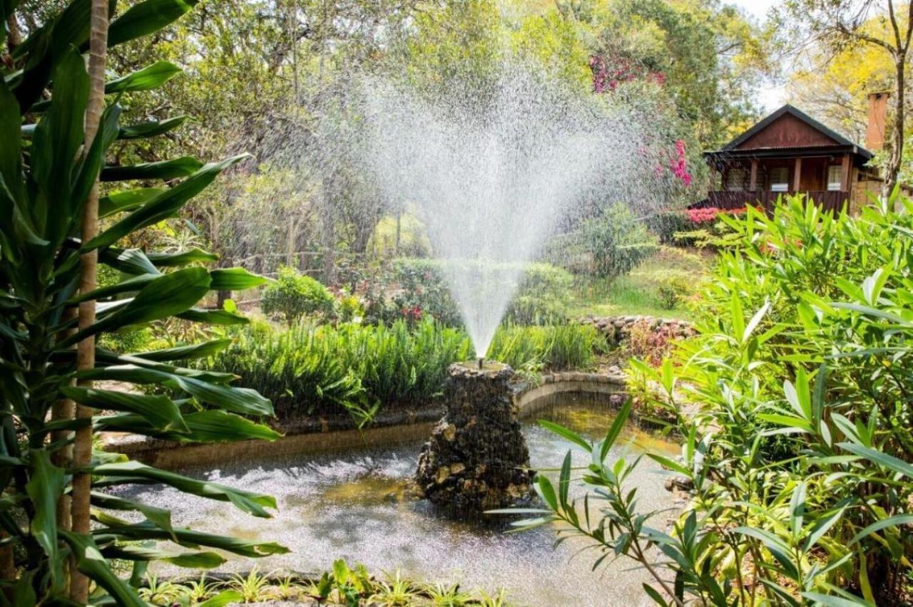 Naro Moru River Lodge المظهر الخارجي الصورة