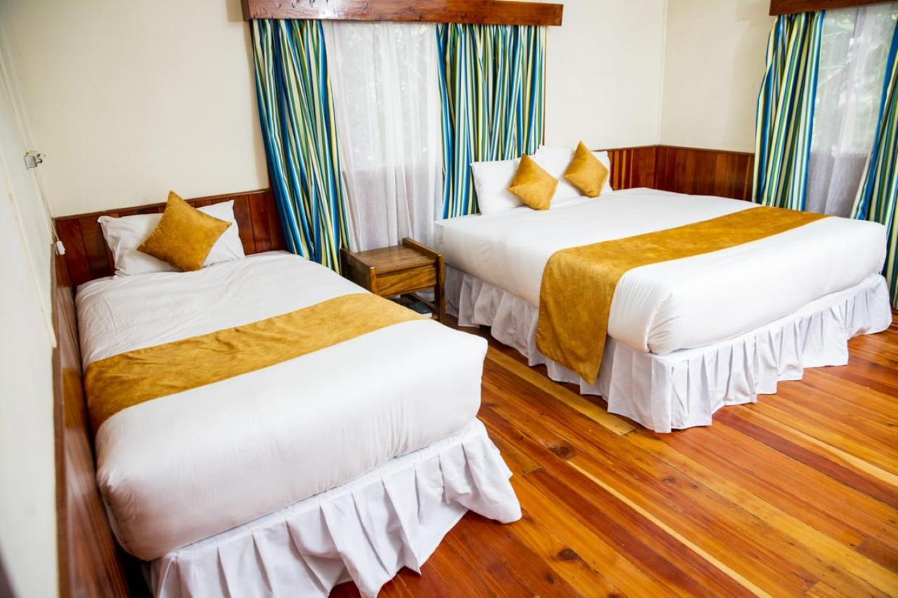 Naro Moru River Lodge المظهر الخارجي الصورة
