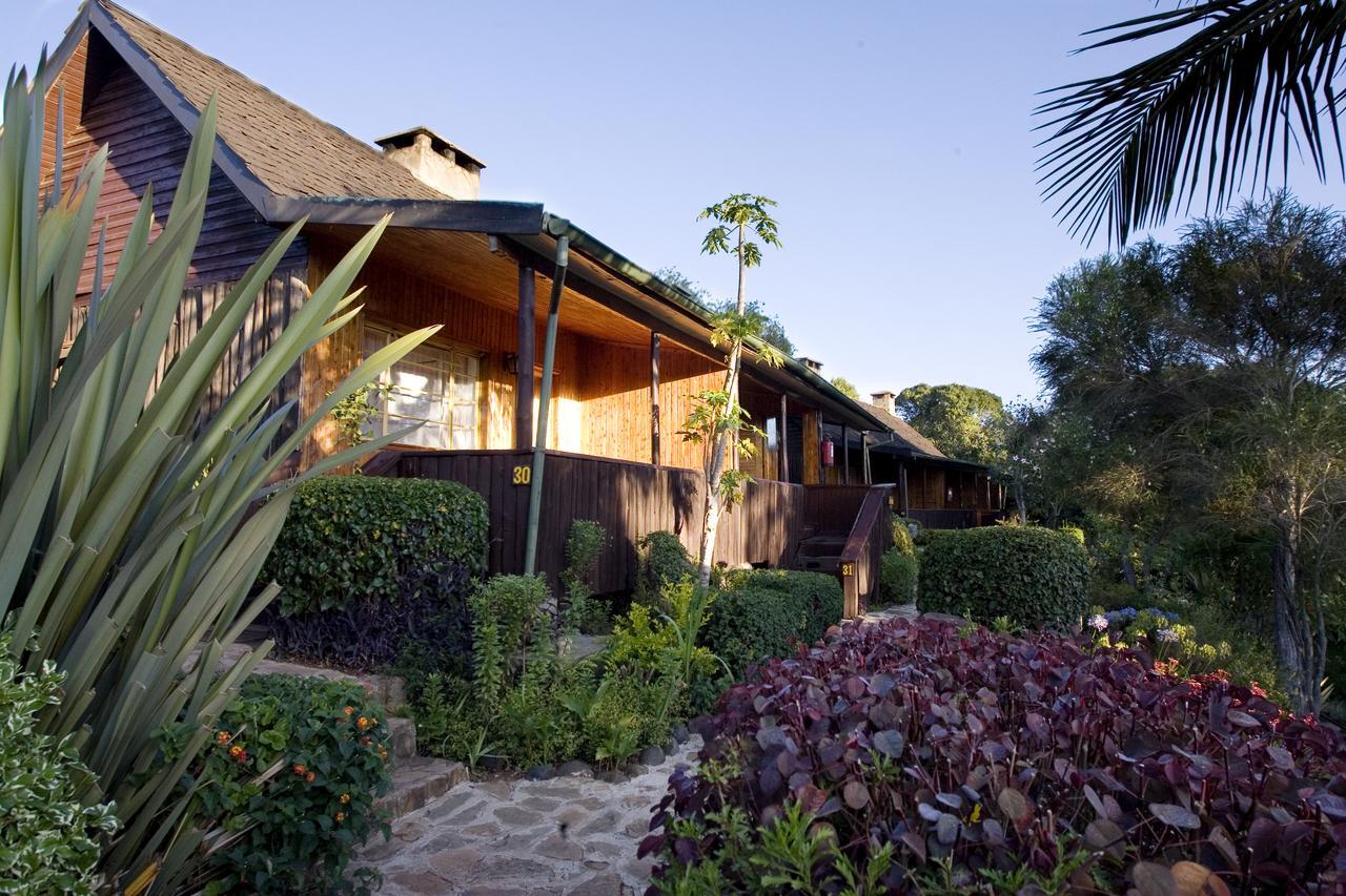 Naro Moru River Lodge الغرفة الصورة