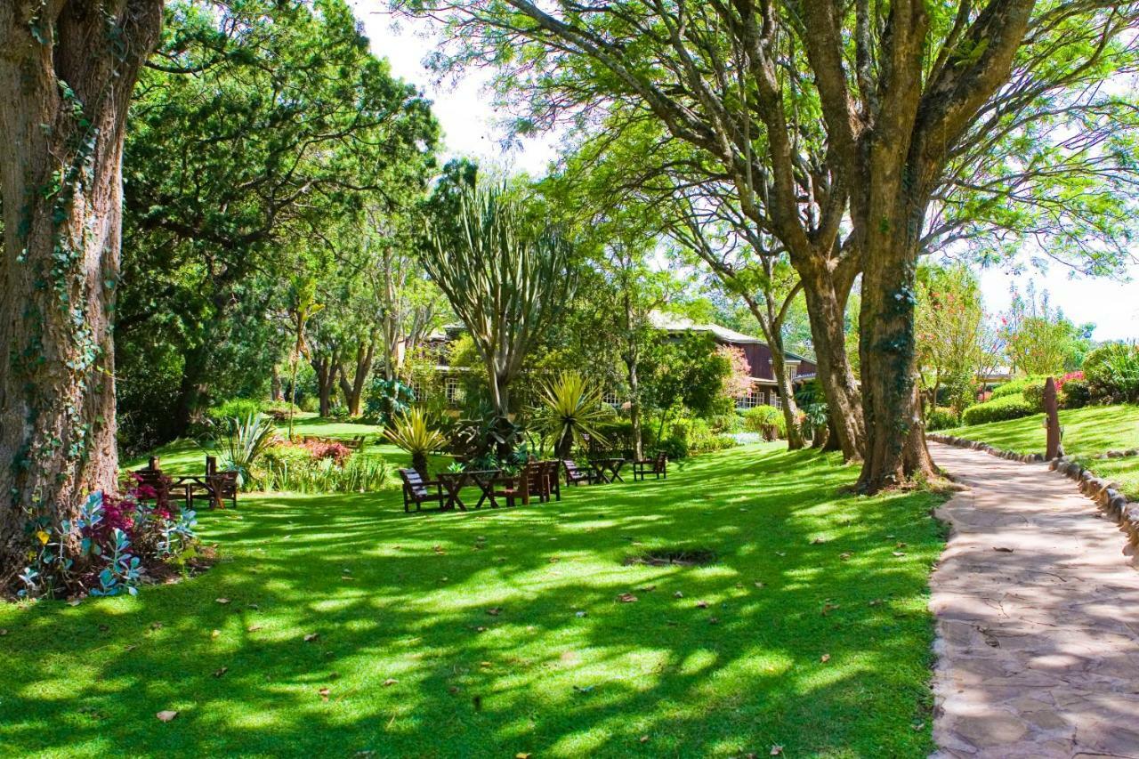 Naro Moru River Lodge المظهر الخارجي الصورة